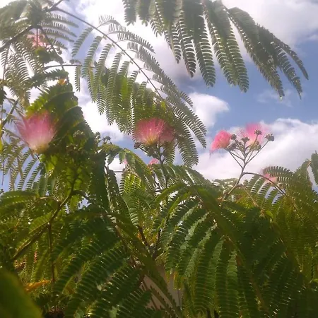 D'hotes Au Chant Des Vents 3* Thurageau